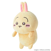 Posture Pal - CHiiKAWA R5