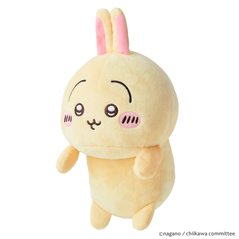 Posture Pal - CHiiKAWA R5