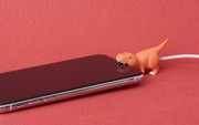 CABLE BITE Dino T5