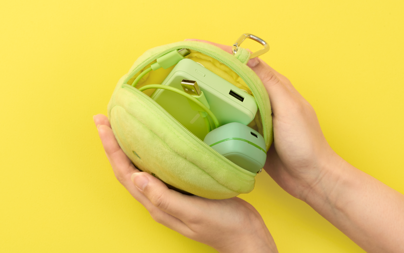 SMISKI Cushion Pouch R4