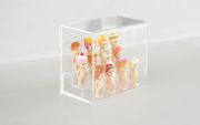 Sonny Angel Acrylic Display Case F3