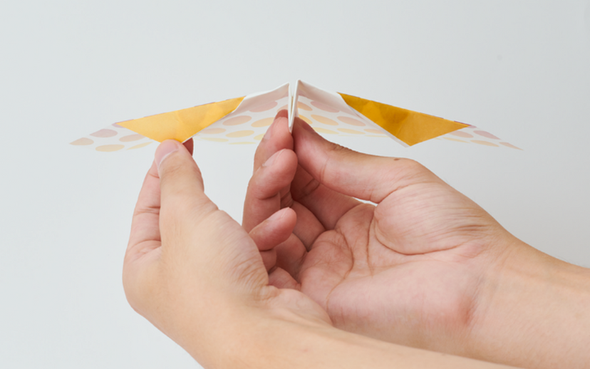 Papillon Origami Airplanes D9