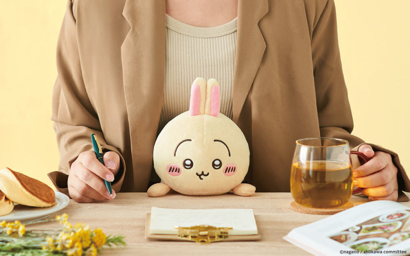 Posture Pal - CHiiKAWA R5