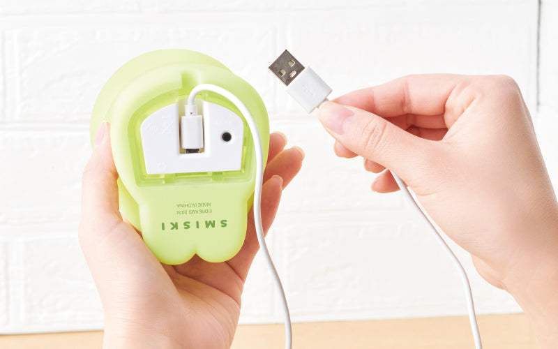 SMISKI Touch Light O2