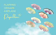 Papillon Origami Airplanes D9
