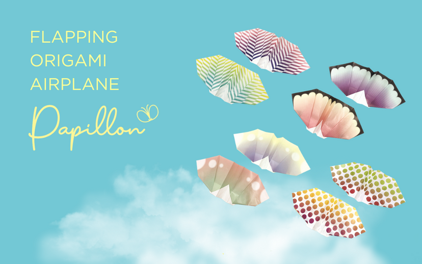 Papillon Origami Airplanes D9