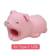 CABLE BITE for Type-C USB Y2